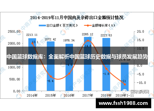 中国篮球数据库：全面解析中国篮球历史数据与球员发展趋势